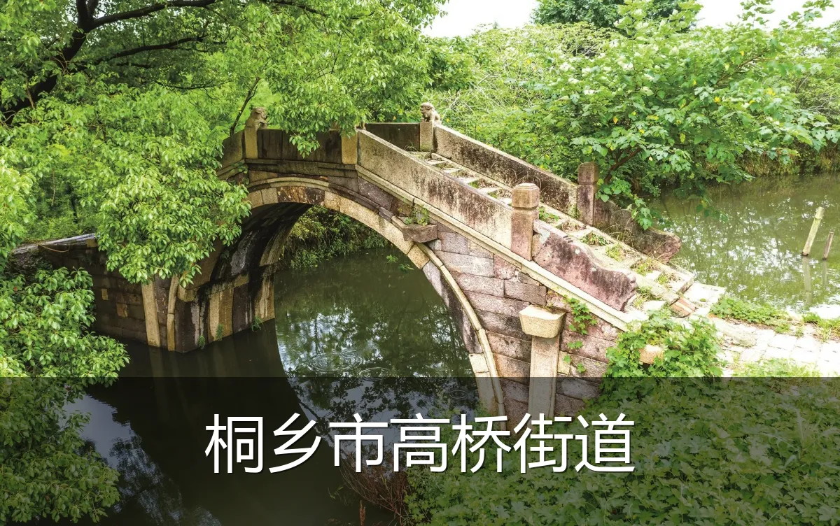 桐乡市高桥街道