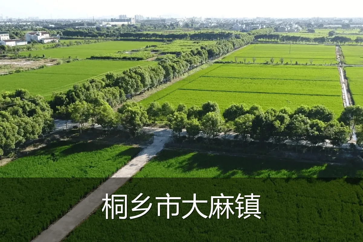 桐乡市大麻镇