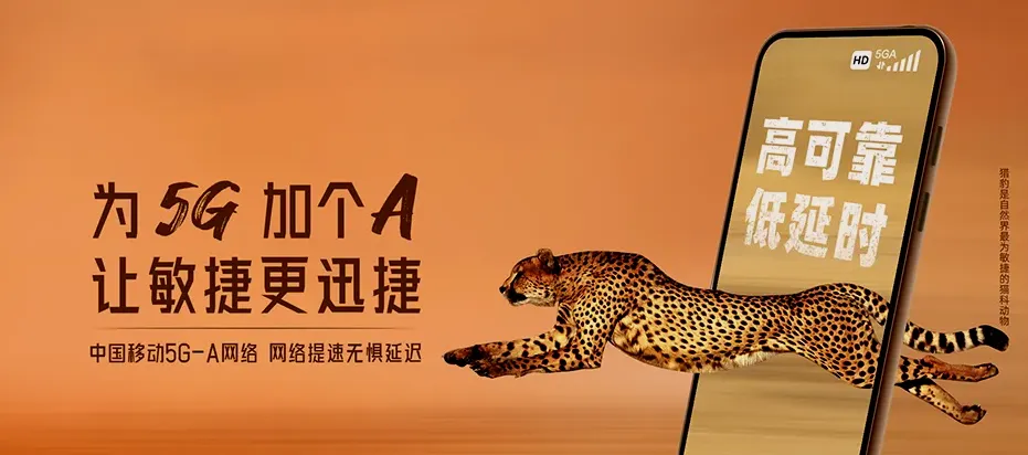 桐乡市桐乡市大麻镇 移动宽带